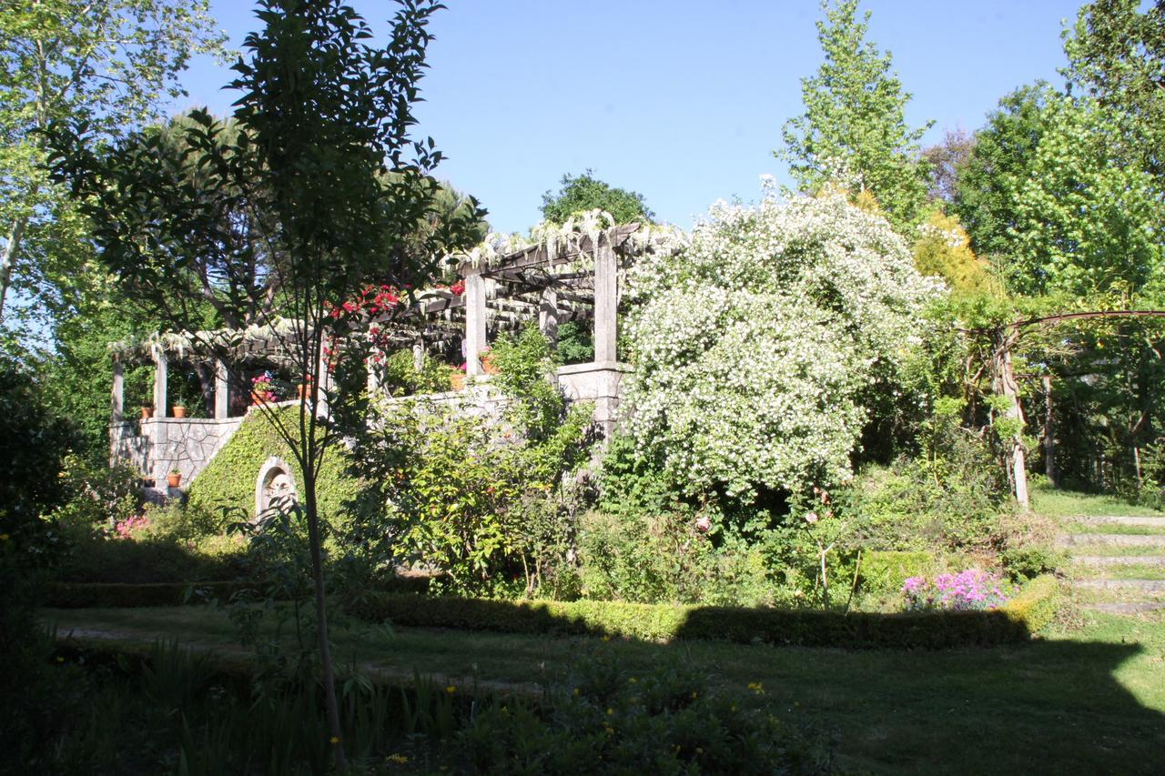 Quinta Do Rossado Pensionat Arouca Exteriör bild